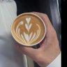 saleh's profile picture