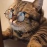 Profilbild von Alee