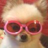 kt's profile picture