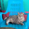 Фото профиля ๐ซอยม่ายหยุด๐