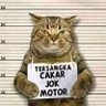 Rakyat Jelata's profile picture