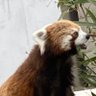 なたさ's profile picture