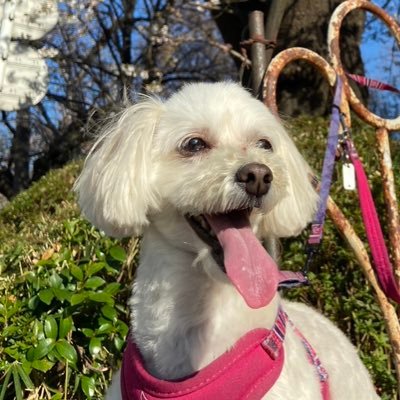 ayutaSh's profile picture
