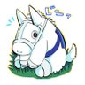 にゃぁ汰's profile picture
