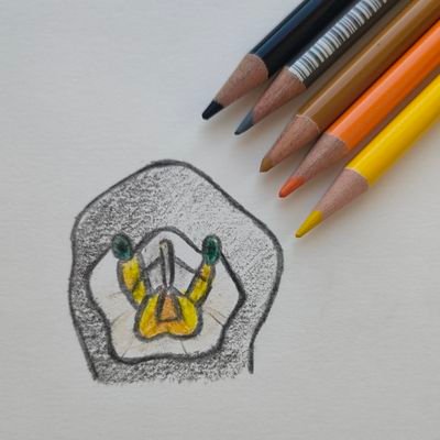 umineko_nyaa47's profile picture