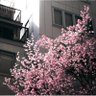 Фото профиля Kobune