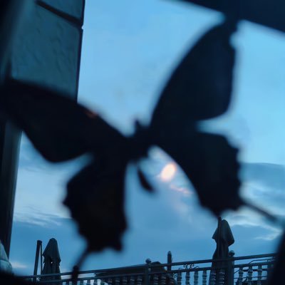 ssheirley's profile picture