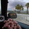 maha m a profil fotoğrafı