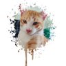 Фото профиля Annie