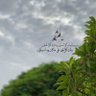 ريـمـا العتيبي💜 profil fotoğrafı
