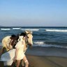 蔡根花 profil fotoğrafı