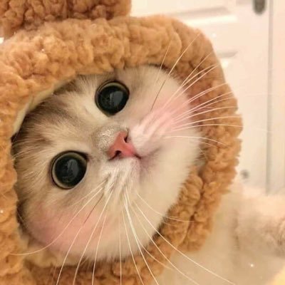 Sineny ◡̈'s profile picture