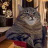Flo profil fotoğrafı