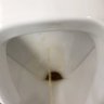 CockSniffer profil fotoğrafı