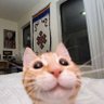 clarinha profil fotoğrafı