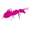 Фото профиля Ant Workshop