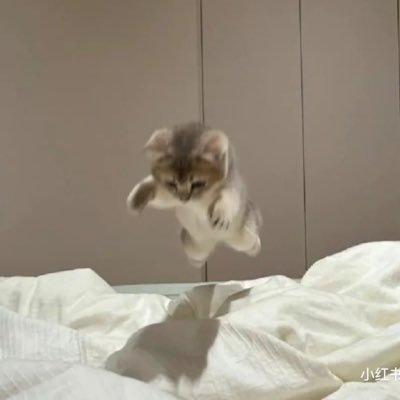 뚜뚜's profile picture