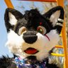Profilbild von Raig AvengerWolf 🇲🇽🇺🇸