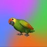 加密$NIAO王🦜 的头像