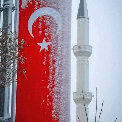 Murat Çakırsipahi🇹🇷's profile picture