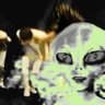 👽 的头像