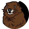 Costin's profile picture