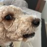 Connor 的头像