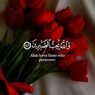 bakr56138's profile picture