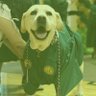 GrowlerBull 的头像