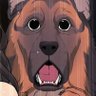 Yannick's profile picture