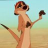 Profilbild von Timon