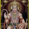 Shikha Sharma's profile picture