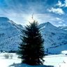 Delco Domodossola's profile picture