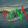 Trendsurfer's profile picture