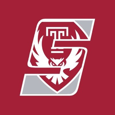 Sidelines - Temple 🦉🍒's profile picture
