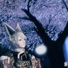 Profilbild von カイタク【FF14】