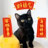 Фото профиля 肚子