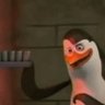 Alex Ram's profile picture