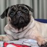 Barbara's profile picture