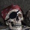 AGR profil fotoğrafı