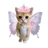 Jiaaa's profile picture