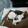 E.Y profil fotoğrafı
