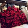 NoviaRose.com's profile picture