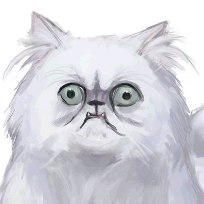 kotoruuuu's profile picture