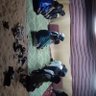 عيسى الوهيبي الجحافي's profile picture