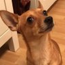 Azad46 profil fotoğrafı