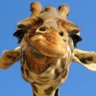 Profilbild von Ed