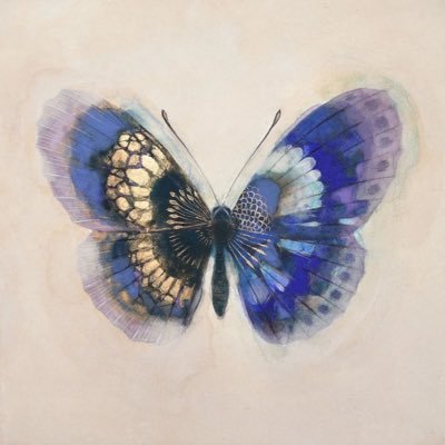 ba0bi10's profile picture