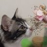 Asnuhiras profil fotoğrafı