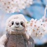 まぁ| Kazunogramの人 的头像